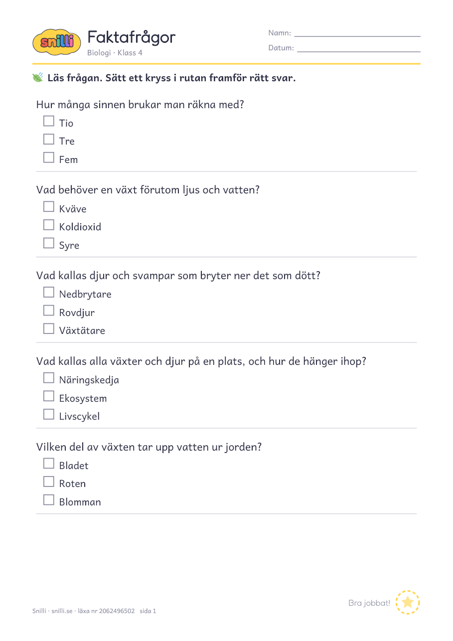 Förhandsvisning av läxan