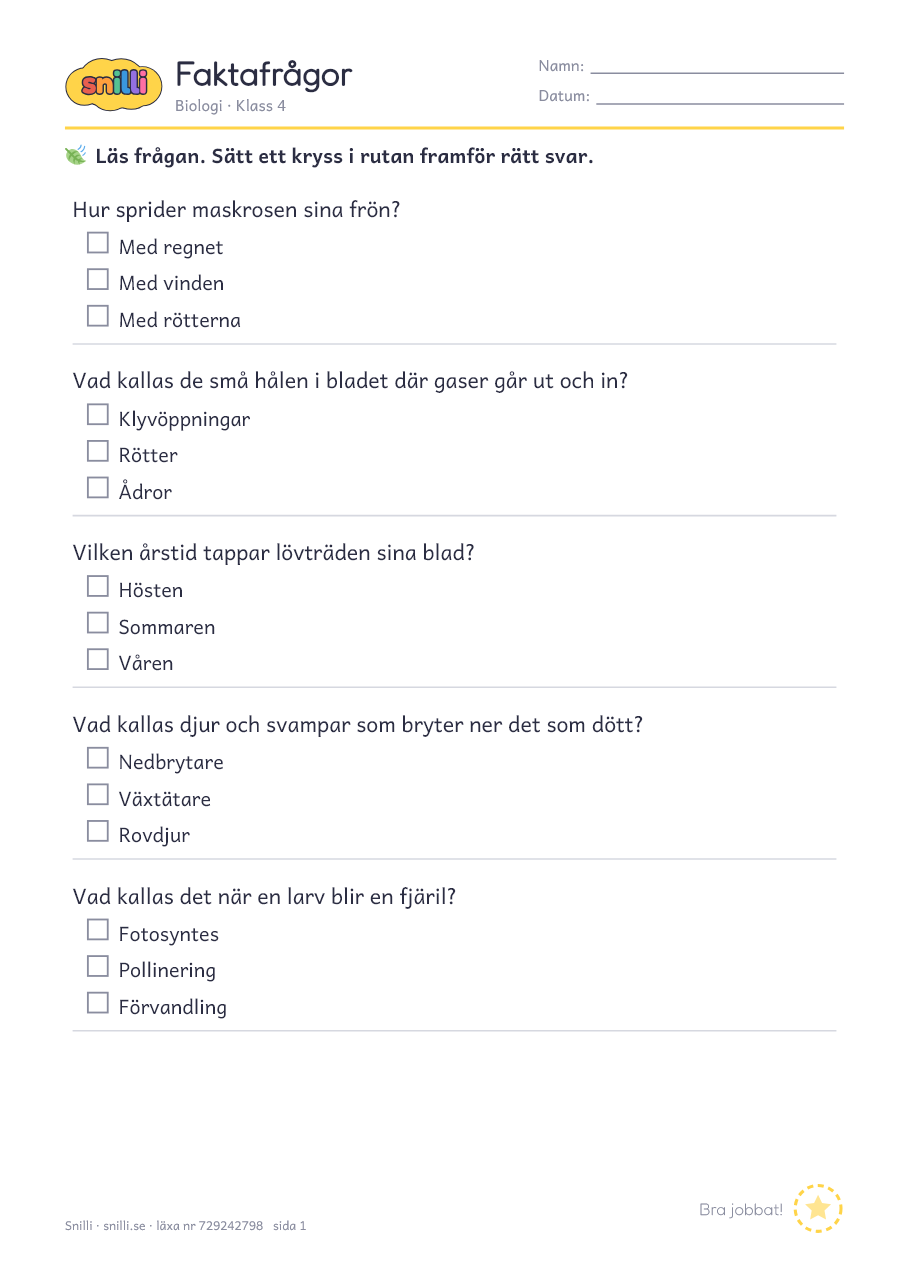 Förhandsvisning av läxan